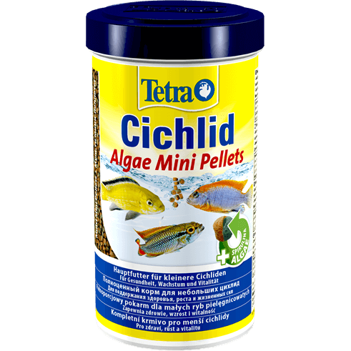 Tetra Cichlid Algae Mini
