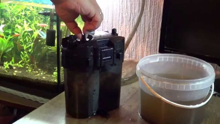 Промывка аквариумного фильтра