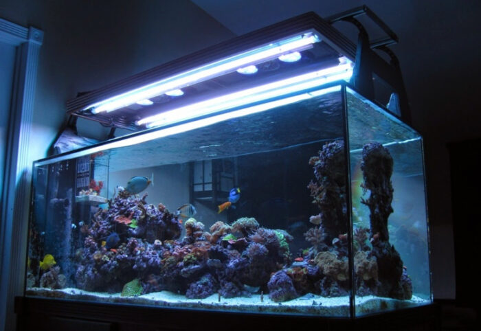 Освещение аквариума