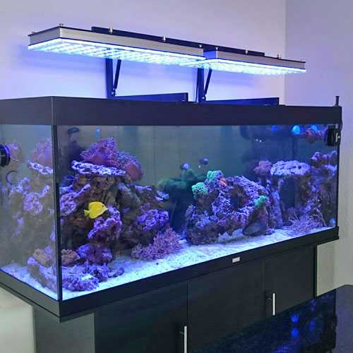 УФ стерилизатор для аквариума Встроенный в плафон подсветки