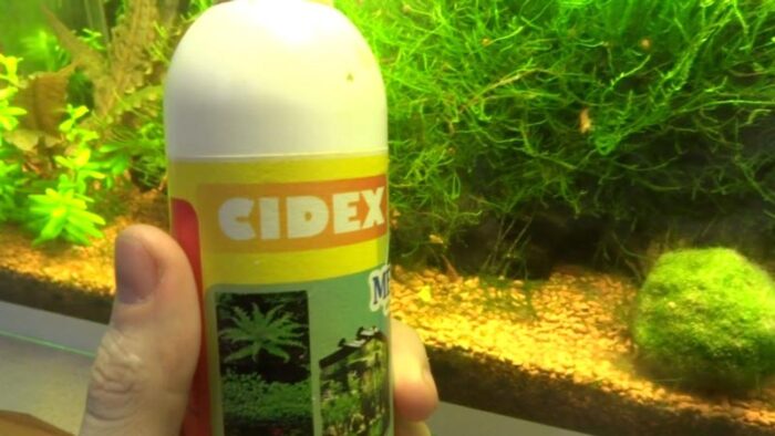 «Сайдекс» для борьбы с водорослями в аквариуме