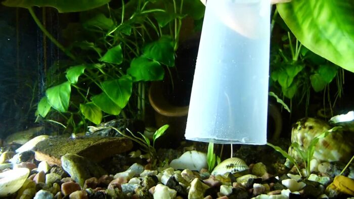 Сифон для чистки аквариума