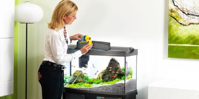 Заботимся о домашнем аквариуме